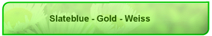 Slateblue - Gold - Weiss